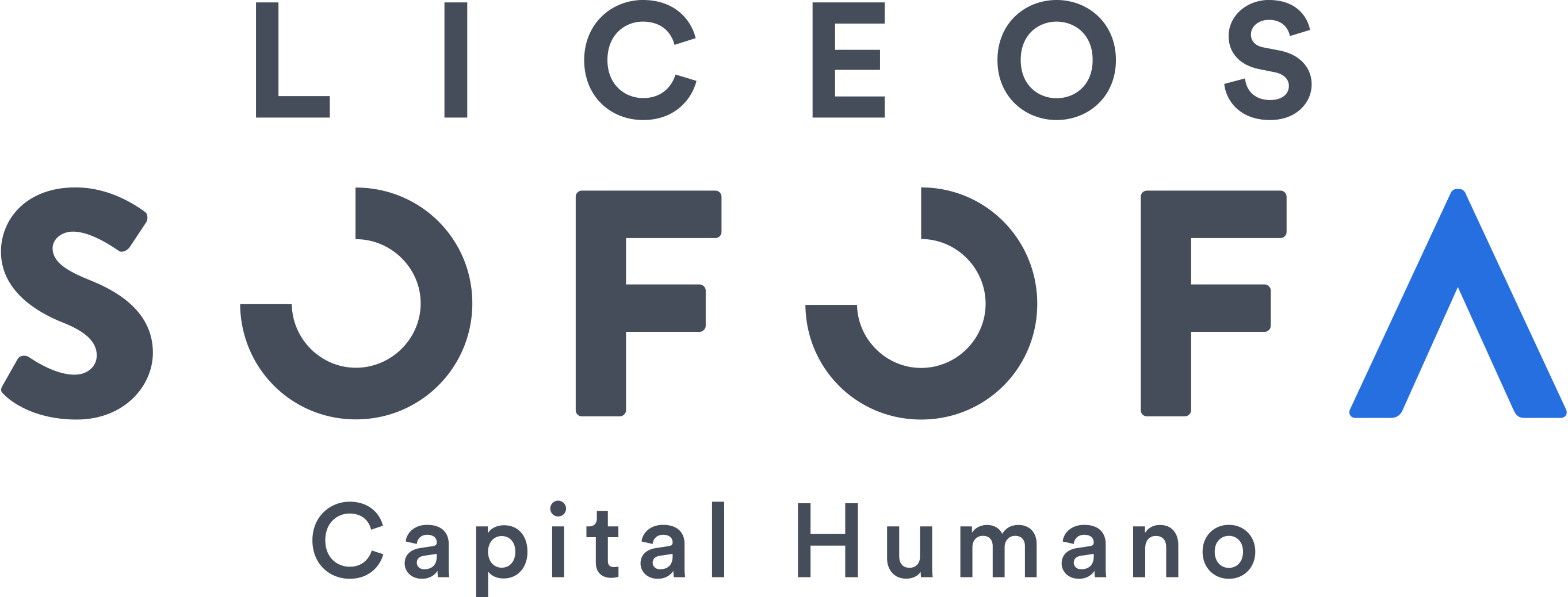 Soporte - LiceoSOFOFA